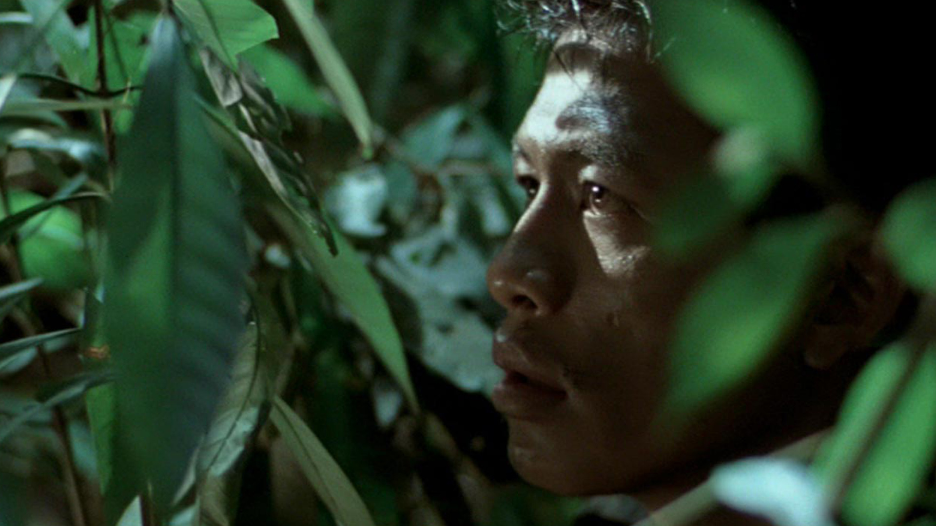 [CINE-CLUB] Métamorphoses - Métempsychose