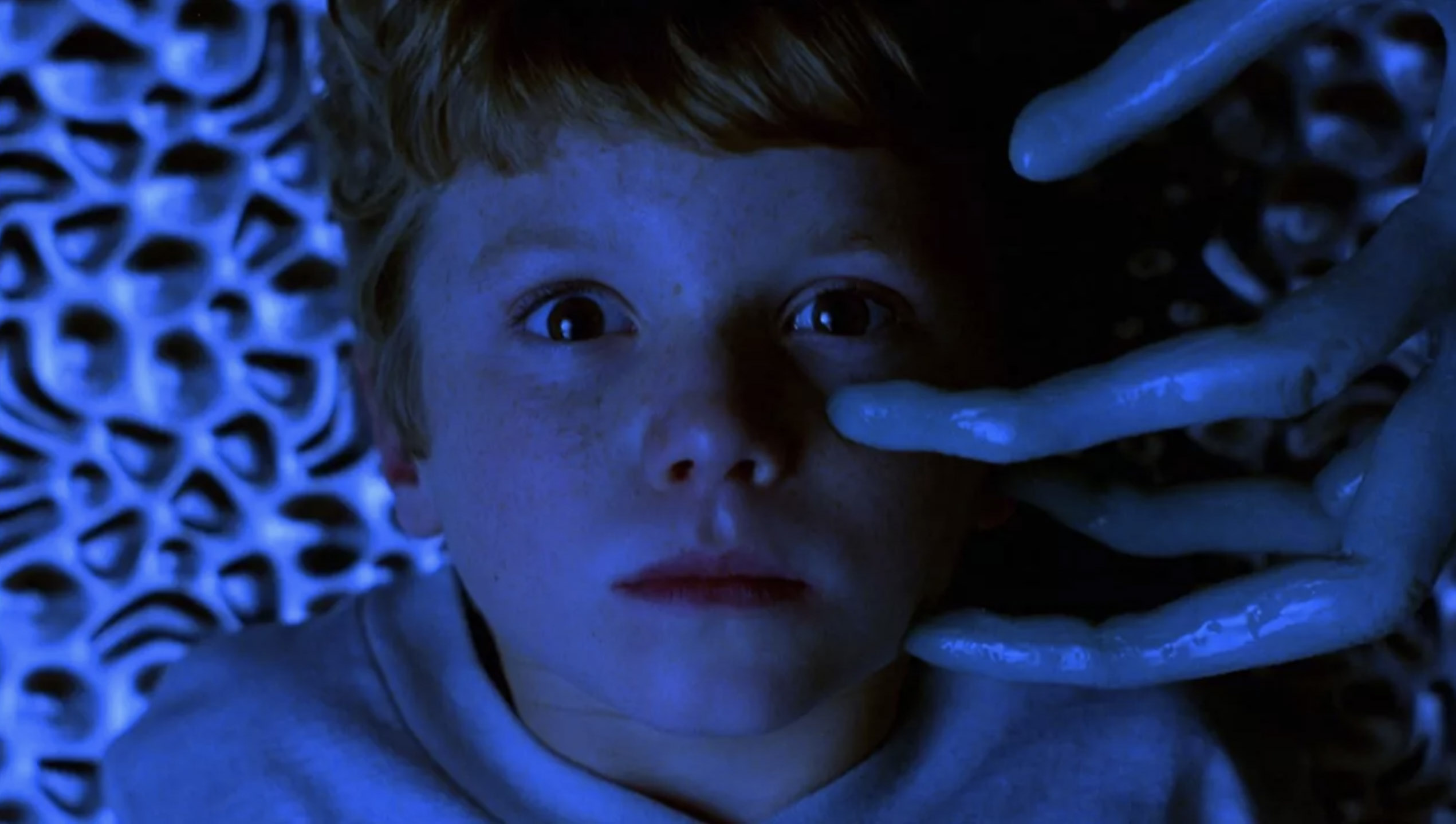 Mysterious Skin ( bande annonce VOST ).