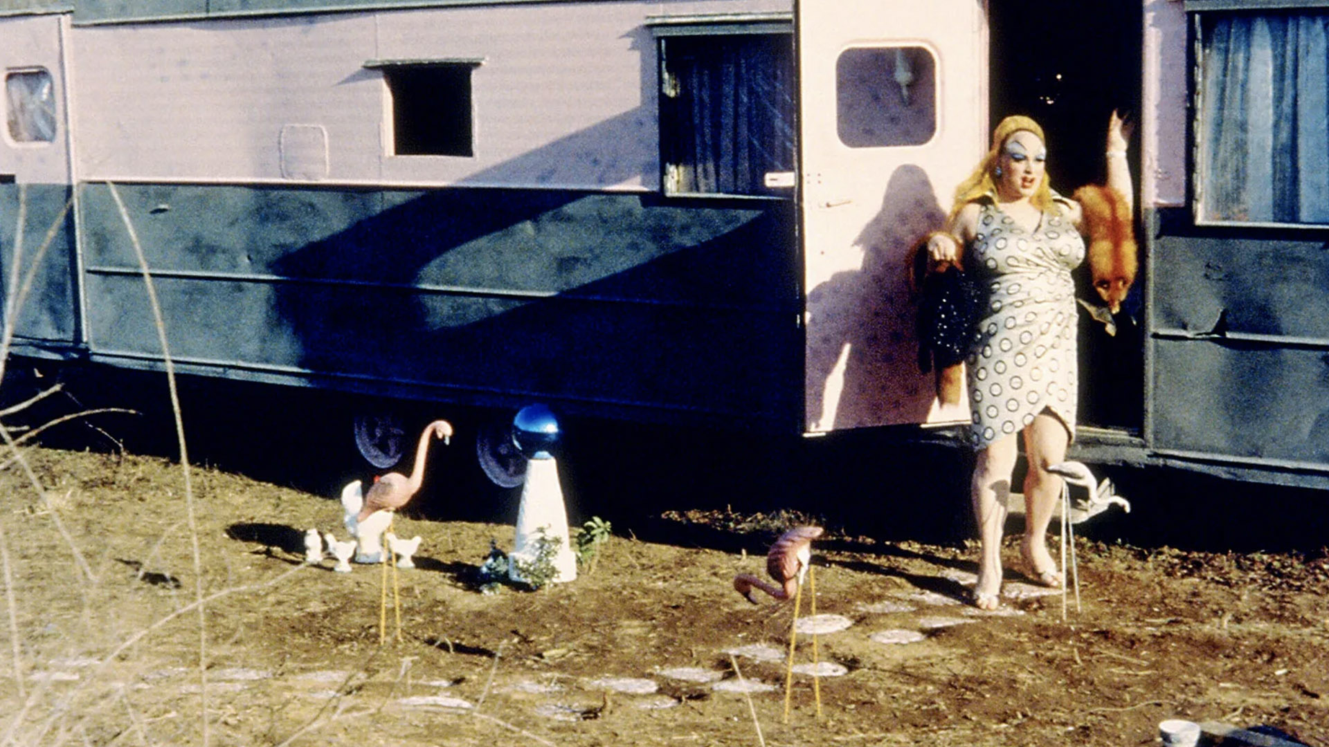 Pink Flamingos Trailer