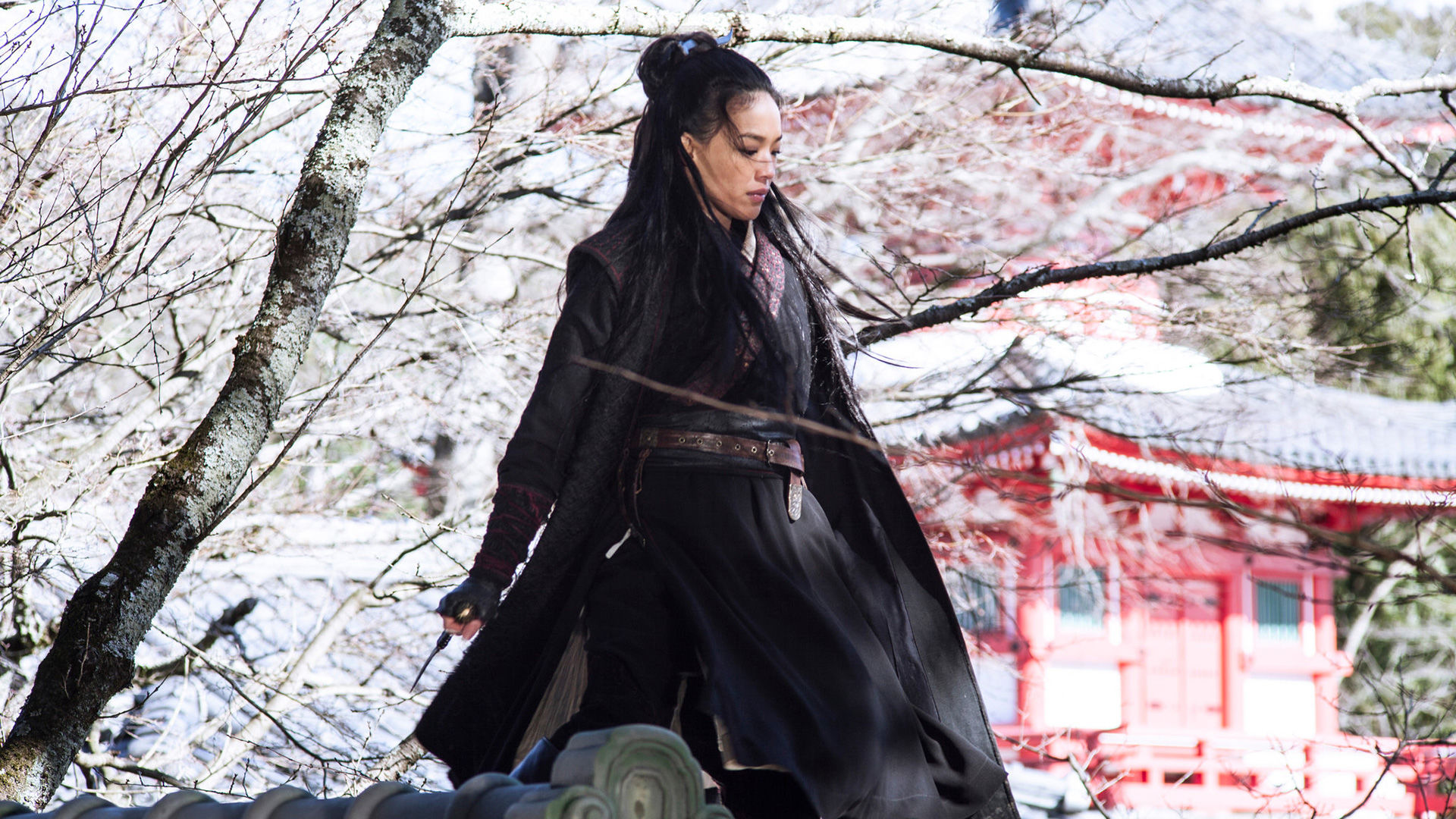THE ASSASSIN Bande Annonce