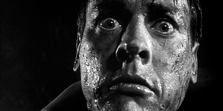 Invasion Of The Body Snatchers - L'Invasion des Profanateurs de Sépultures - 1956